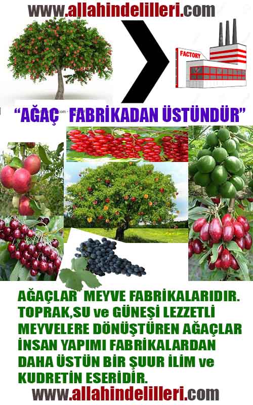 ALLAH, Allahin varlığının delilleri nelerdir?, allahin delilleri, allah in delilleri, allah-delilleri, allah var, #allah