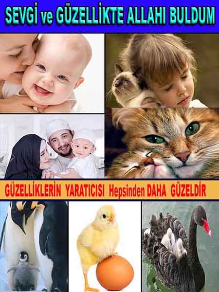 ALLAH, Allahin varlığının delilleri nelerdir?, allahin delilleri, allah in delilleri, allah-delilleri, allah var, #allah