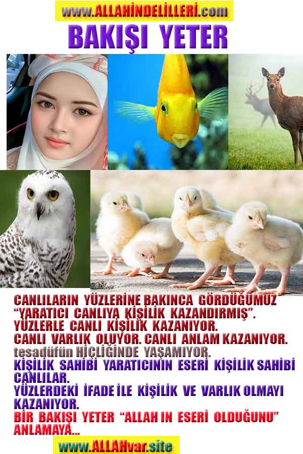 Allahin varlığının delilleri nelerdir?, allahin delilleri, allah in delilleri, allah-delilleri, allah var, #allah