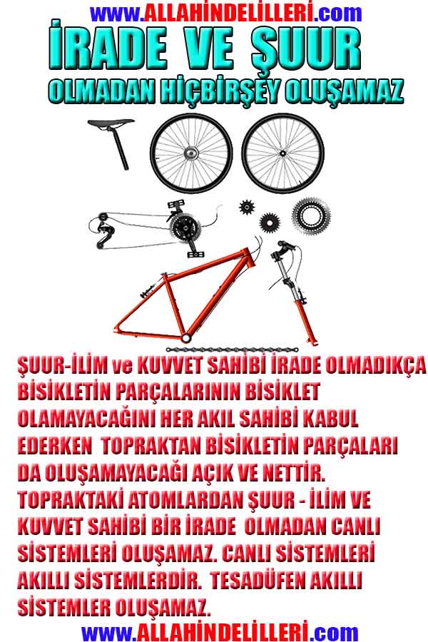 ALLAH, Allahin varlığının delilleri nelerdir?, allahin delilleri, allah in delilleri, allah-delilleri, allah var, #allah