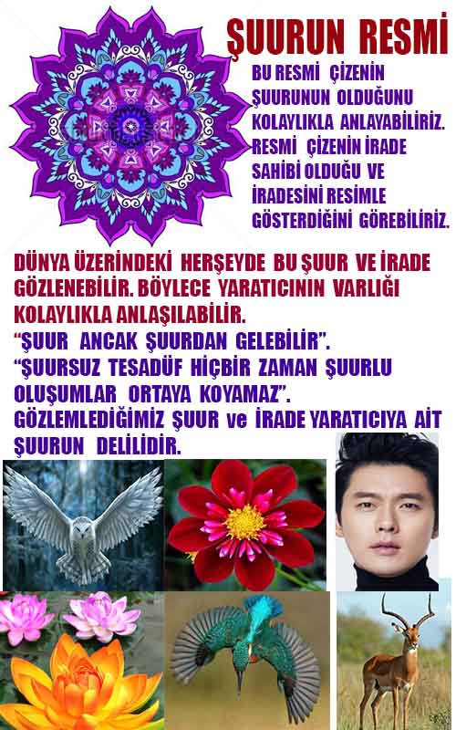 ALLAH, Allahin varlığının delilleri nelerdir?, allahin delilleri, allah in delilleri, allah-delilleri, allah var, #allah