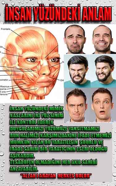 Allahin varlığının delilleri nelerdir?, allahin delilleri, allah in delilleri, allah-delilleri, allah var, #allah