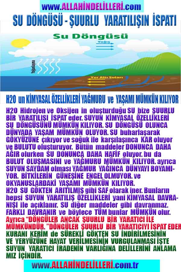 ALLAH, Allahin varlığının delilleri nelerdir?, allahin delilleri, allah in delilleri, allah-delilleri, allah var, #allah