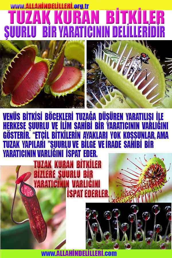 Allahin varlığının delilleri nelerdir?, allahin delilleri, allah in delilleri, allah-delilleri, allah var, #allah