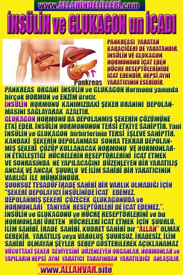 ALLAH, Allahin varlığının delilleri nelerdir?, allahin delilleri, allah in delilleri, allah-delilleri, allah var, #allah