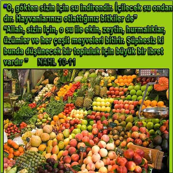 Allahin varlığının delilleri nelerdir?, allahin delilleri, allah in delilleri, allah-delilleri, allah var, #allah