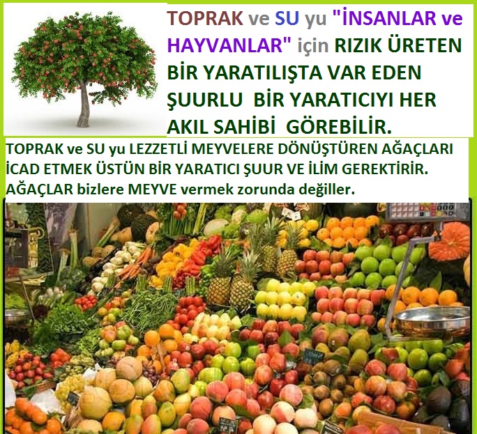 ALLAH, Allahin varlığının delilleri nelerdir?, allahin delilleri, allah in delilleri, allah-delilleri, allah var, #allah