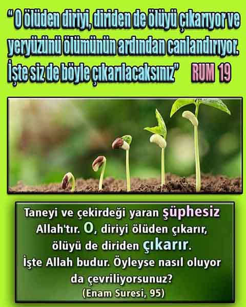 ALLAH, Allahin varlığının delilleri nelerdir?, allahin delilleri, allah in delilleri, allah-delilleri, allah var, #allah