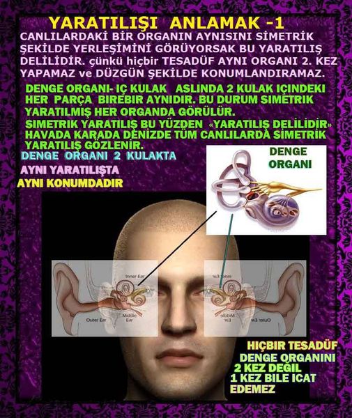 ALLAH, Allahin varlığının delilleri nelerdir?, allahin delilleri, allah in delilleri, allah-delilleri, allah var, #allah