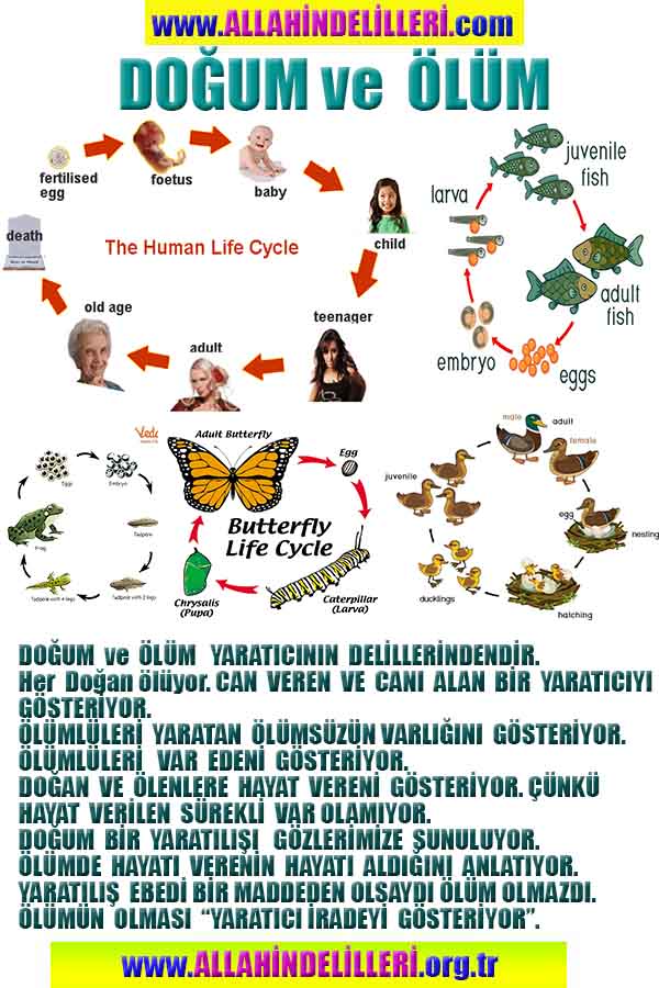 ALLAH, Allahin varlığının delilleri nelerdir?, allahin delilleri, allah in delilleri, allah-delilleri, allah var, #allah