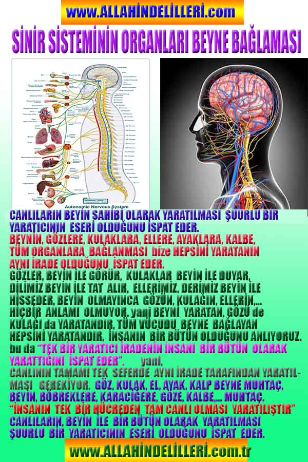 Allahin varlığının delilleri nelerdir?, allahin delilleri, allah in delilleri, allah-delilleri, allah var, #allah